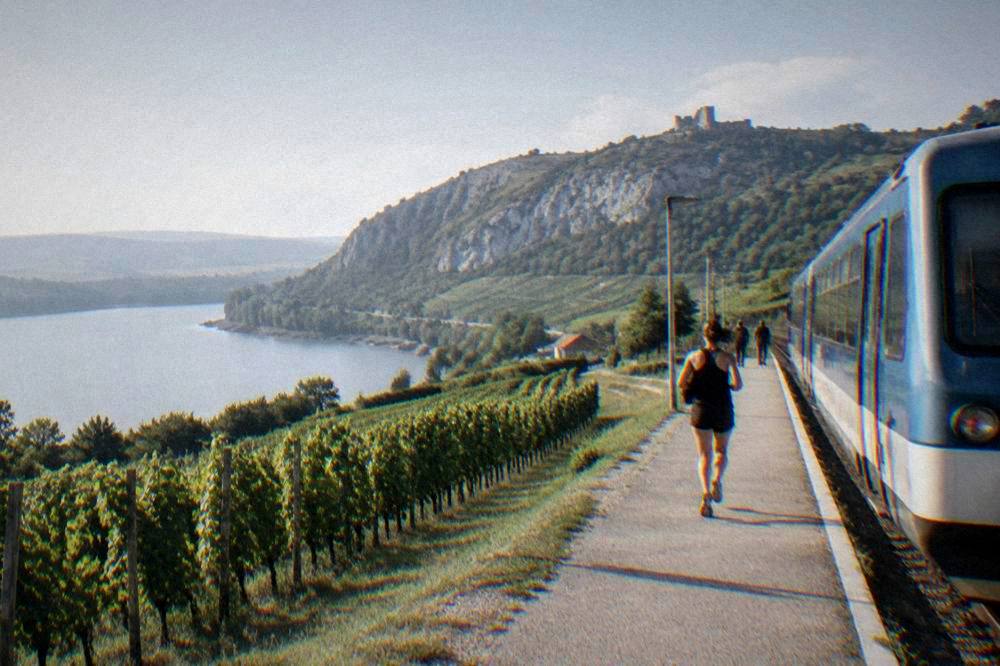 A regional train at a small station beside vineyards