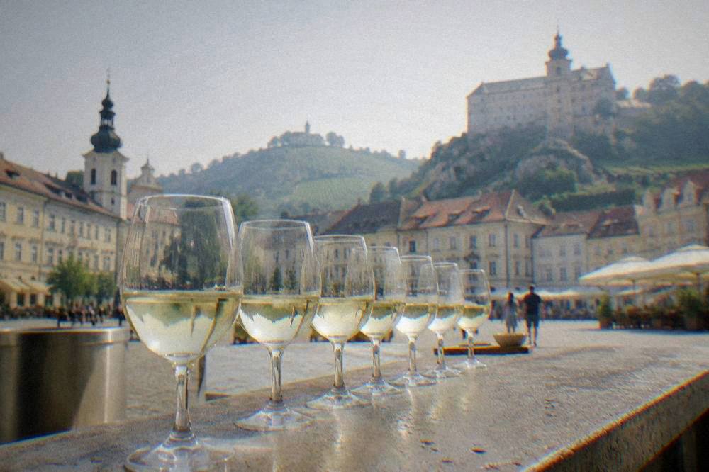 A group of glasses of white wine lined up on a tasting counter